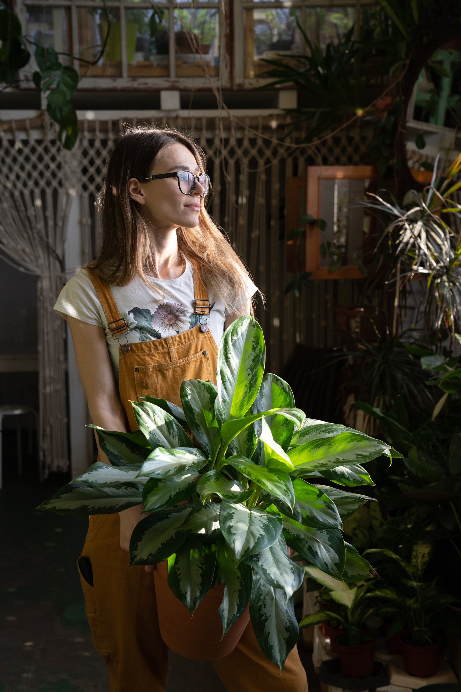 실내에서 식물 키우기: 식물이 우리 가족에게 주는 혜택과 시작을 위한 팁 #1