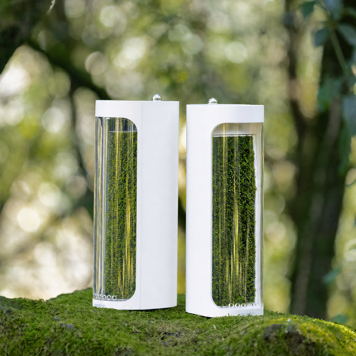 모스에어 더블 패키지